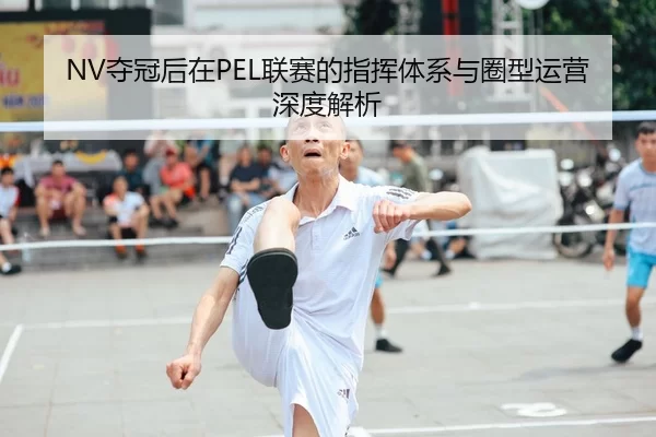 NV夺冠后在PEL联赛的指挥体系与圈型运营深度解析